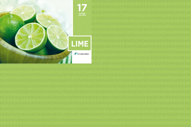 Pokrowiec na zagłówek stomatologiczny 50 szt limonkowy